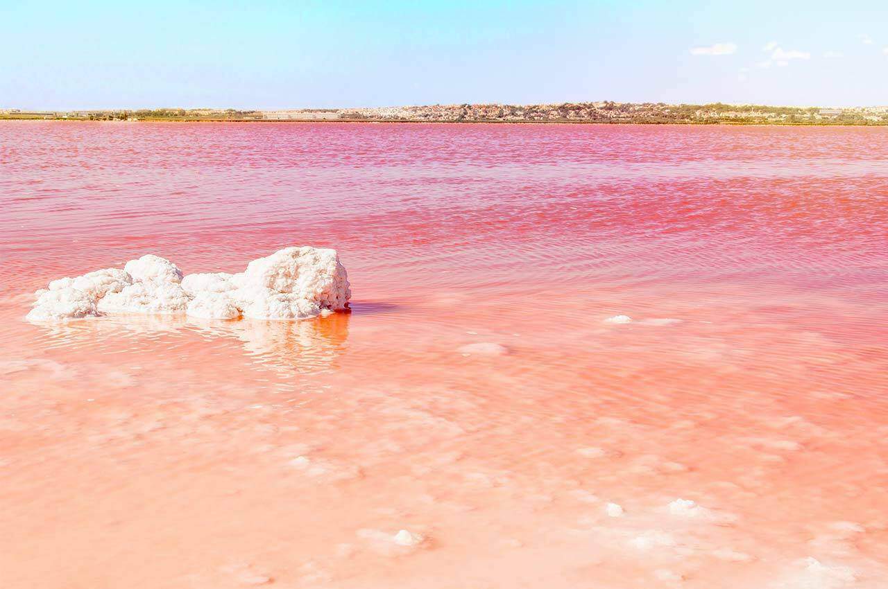 Torrevieja pink lake Torrevieja pink lake